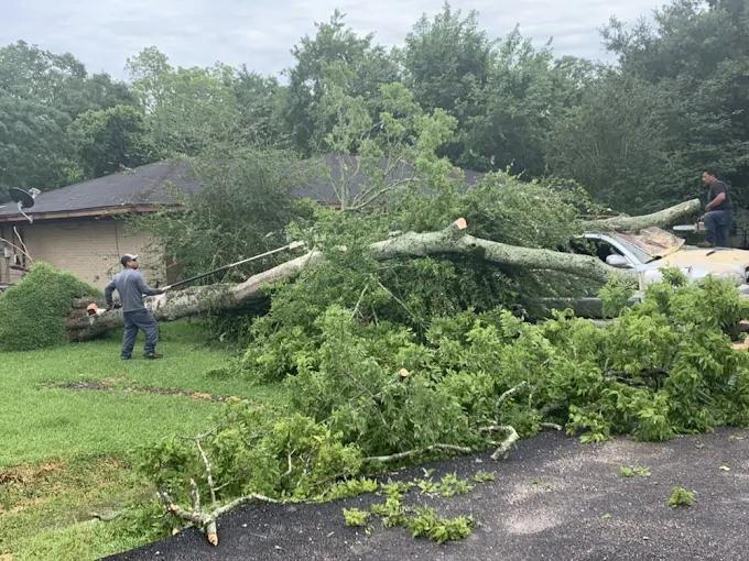 All Points Tree Service Image