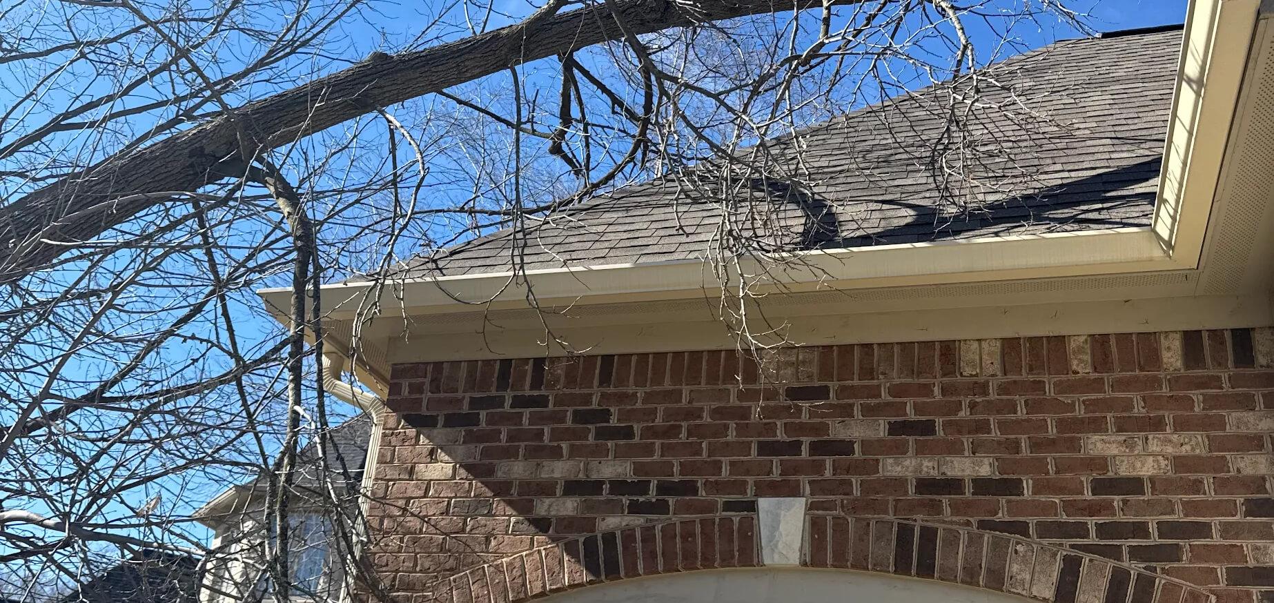 All Points Tree Service Image